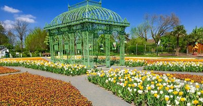 히르슈슈테텐 꽃밭(블루멘게르텐 히르슈슈테텐)